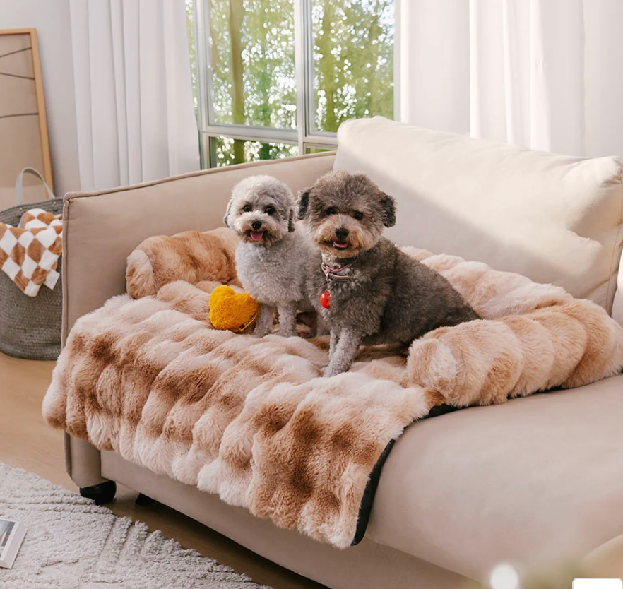 How to Create a Pet-Friendly Home Without Sacrificing Style