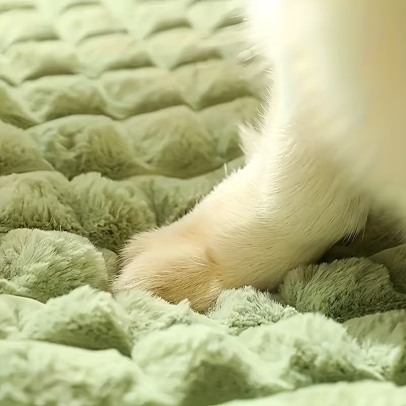 Comfortable, extra-thick cat beds, dog beds, cat sleeping pads