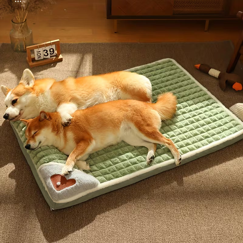 Comfortable, extra-thick cat beds, dog beds, cat sleeping pads