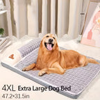 Comfortable, extra-thick cat beds, dog beds, cat sleeping pads
